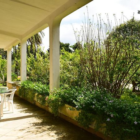 La Cecia - Casa Vacanze Nella Campagna Salentina Cavallino di Lecce Esterno foto